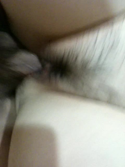신작 ✨ 보지에 점난 어린 거유핑두여친 ☆ 죽여줘 [대화] 썸네일